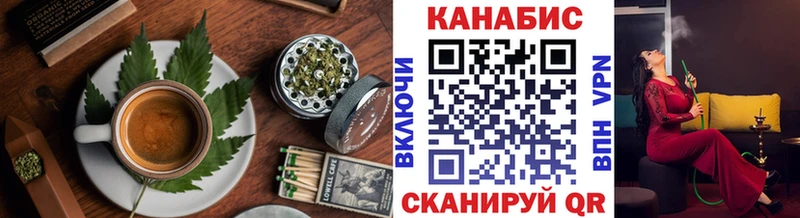 KRAKEN ONION  Торопец  Cannafood конопля 