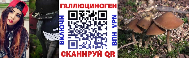 площадка формула  где продают   Торопец  Галлюциногенные грибы MAGIC MUSHROOMS 